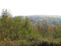 IMG_7535.jpg, 26kB